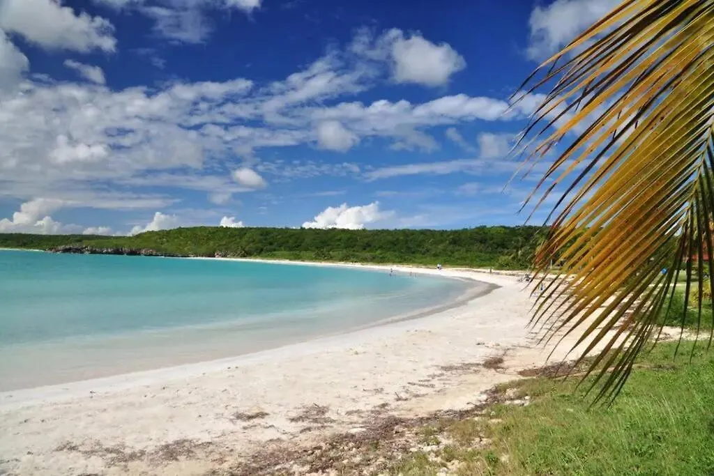 Exelente Y Privado Apartamento Apartment Humacao Puerto Rico